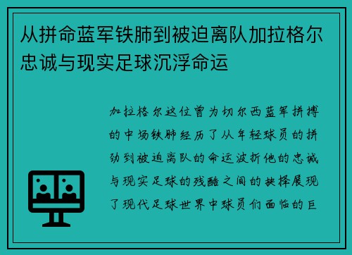 从拼命蓝军铁肺到被迫离队加拉格尔忠诚与现实足球沉浮命运 从拼命蓝军铁肺到被迫离队加拉格尔忠诚与现实足球沉浮命运