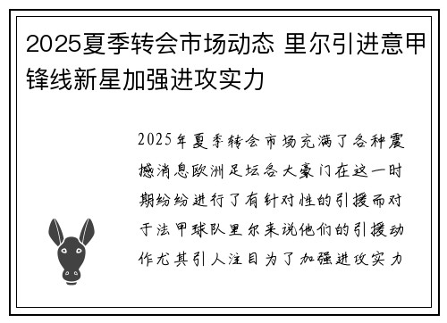 2025夏季转会市场动态 里尔引进意甲锋线新星加强进攻实力