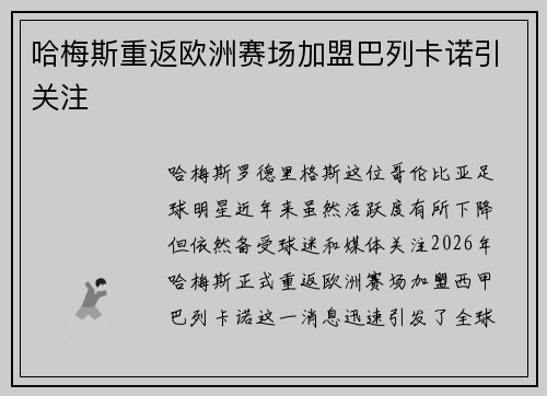 哈梅斯重返欧洲赛场加盟巴列卡诺引关注 哈梅斯重返欧洲赛场加盟巴列卡诺引关注